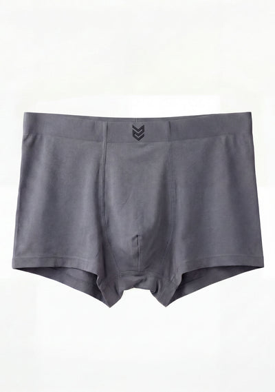 Cueca Essential Modal - Chumbo