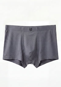 Cueca Essential Modal - Chumbo