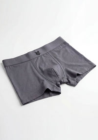 Cueca Essential Modal - Chumbo
